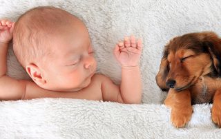 Recién nacido y perro