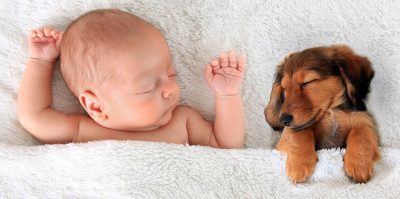 Recién nacido y perro